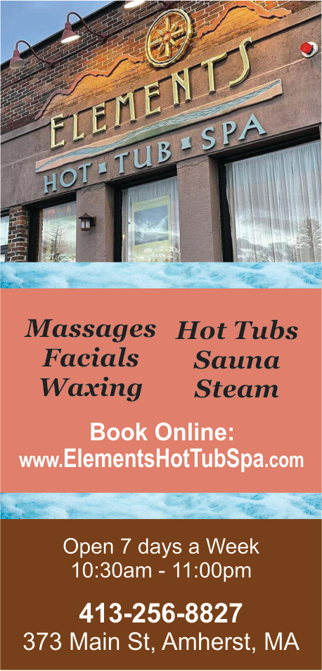 Elements Hot Tub Spa Print Ad