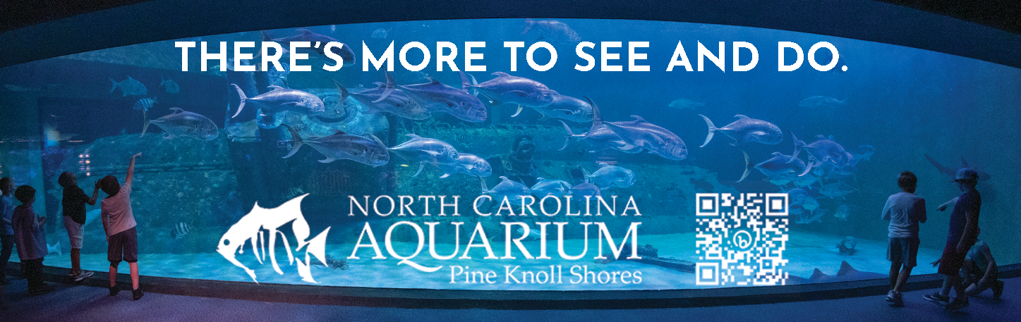 NC Aquarium at Pine Knoll Shores Print Ad