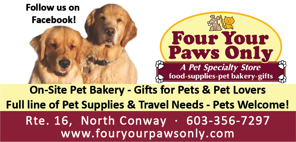 Four Your Paws Only hero image