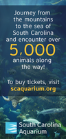 South Carolina Aquarium mini hero image