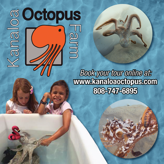 Kanaloa Octopus Farm hero image