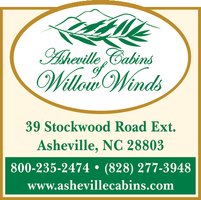 Asheville Cabins of Willow Winds mini hero image