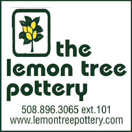 The Lemon Tree Pottery hero image