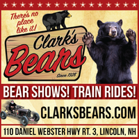 Clark's Bears mini hero image