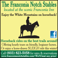 Franconia Notch Horse Stables mini hero image