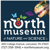 North Museum of Nature and Science mini hero image