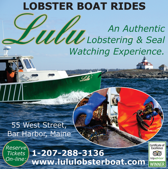 Lulu Lobster Boat Rides hero image