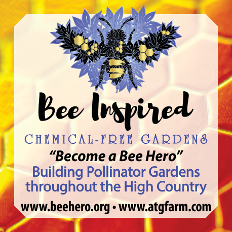 Bee Inspired Foundation hero image