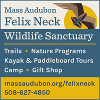 Felix Neck Wildlife Sanctuary mini hero image