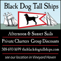 The Black Dog Tall Ships mini hero image