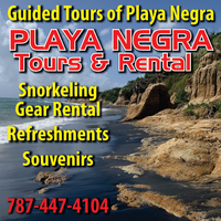 PLaya Negra Tours & Rental mini hero image