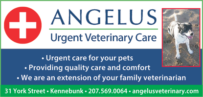 Angelus Urgent Veterinary Care mini hero image