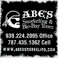 Abe's Snorkeling & Bio-Bay Tours mini hero image