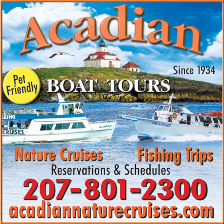 Acadian Boat Tours hero image