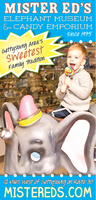 Mister Ed's Elephant Museum & Candy Emporium mini hero image