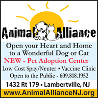 Animal Alliance mini hero image