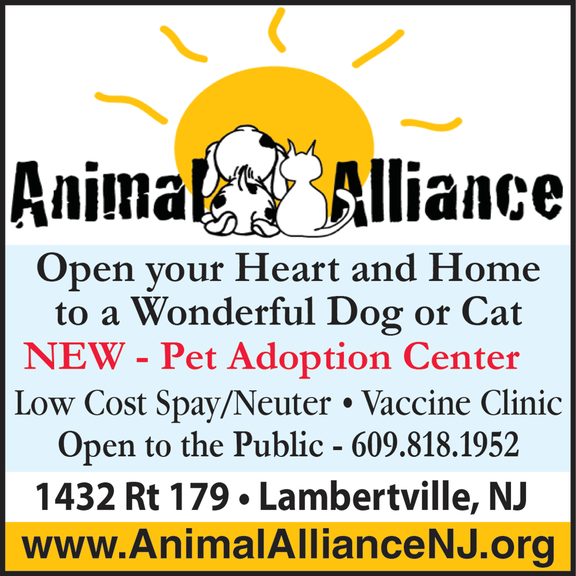 Animal Alliance hero image