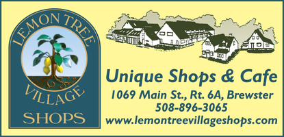 Lemon Tree Village Shops mini hero image