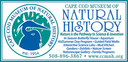 Cape Cod Museum of Natural History mini hero image