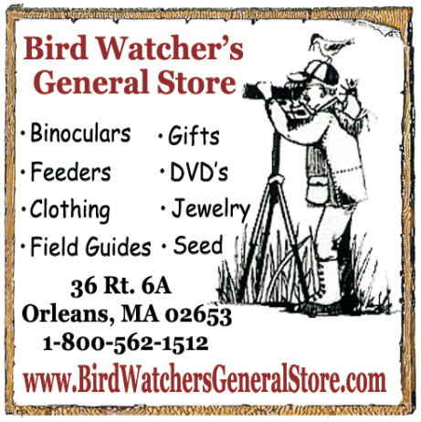 Bird Watcher's General Store hero image