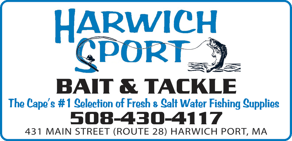 HarwichSport Bait and Tackle hero image
