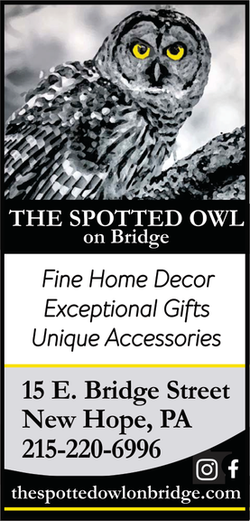 The Spotted Owl hero image