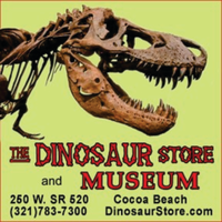The Dinosaur Store and Museum of Dinosaurs and Ancient Cultures mini hero image
