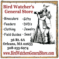 Bird Watcher's General Store mini hero image