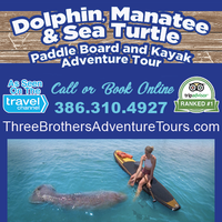 Three Brothers Dolphin & Manatee Adventure Tour mini hero image