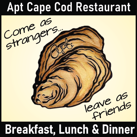 APT Cape Cod hero image