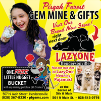Pisgah Forest Gem Mine & Gifts mini hero image