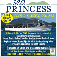 Sea Princess Scenic Nature Cruise mini hero image