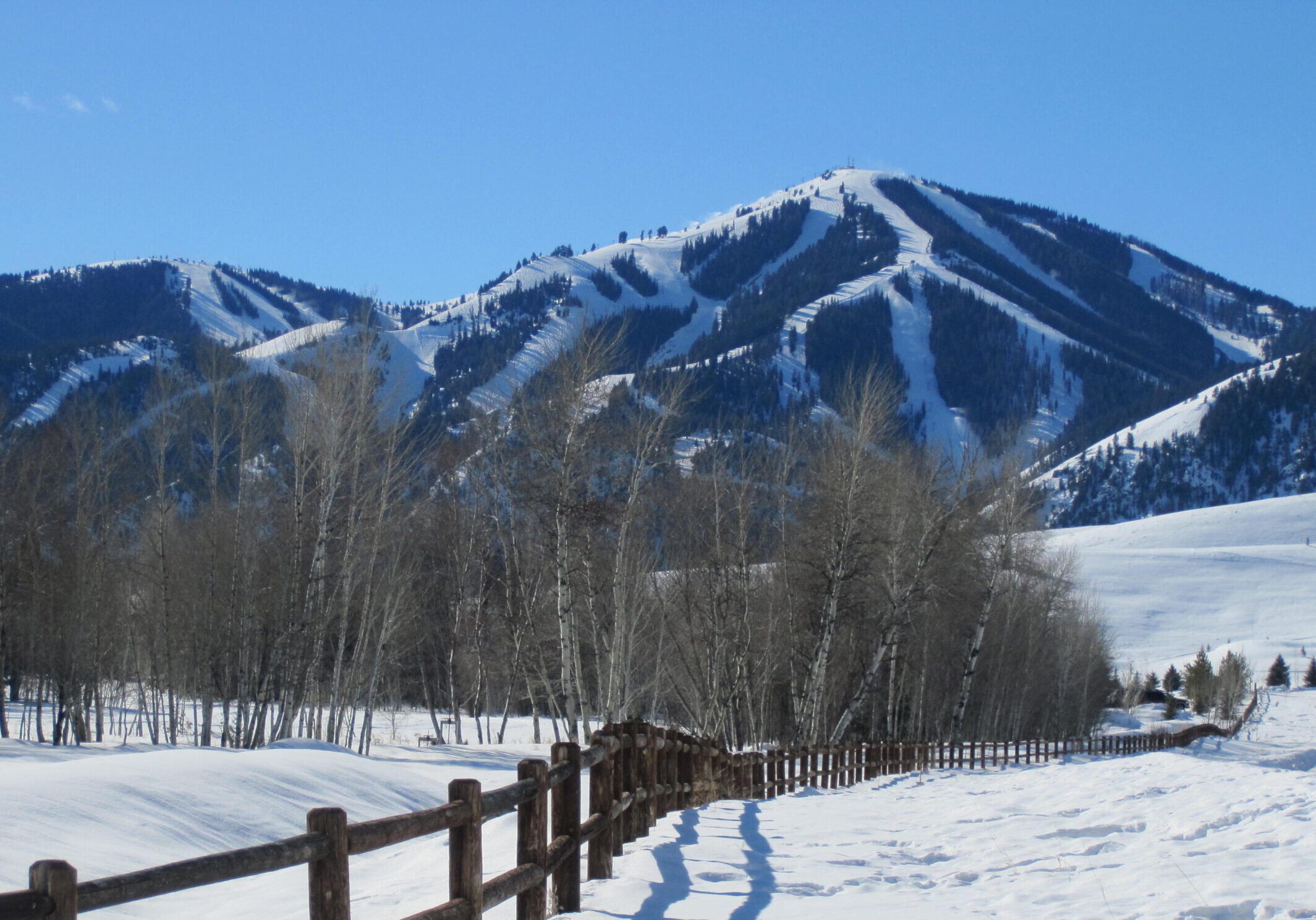 Bald Mtn from Trail Creek