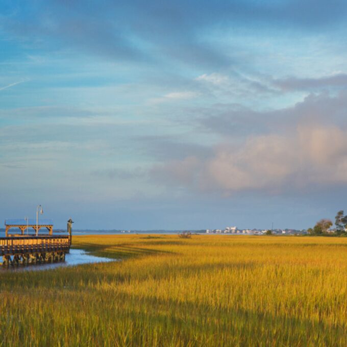 Mt_Pleasant_SC_marsh