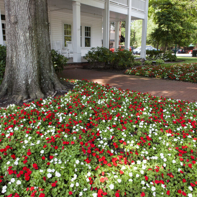 Pinehurst, NC, USA - June 4, 2011: Shady square on Cherokee Rd in the North Carolina Sandhills town of Pinehurst. A large bed of impatiens, a colonnaded building and visitor on a bench are in view.