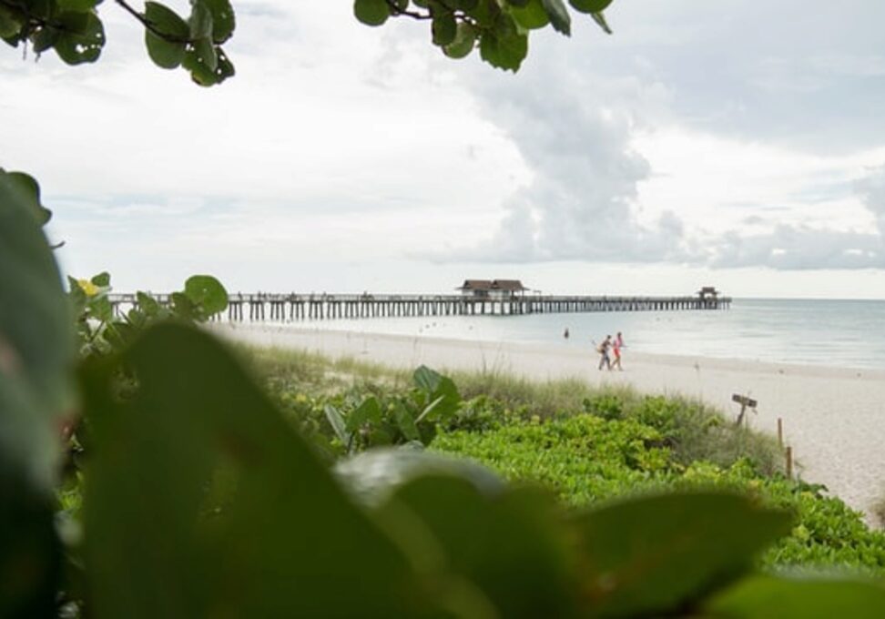 Sanibel_Island_Florida_Boardwalk