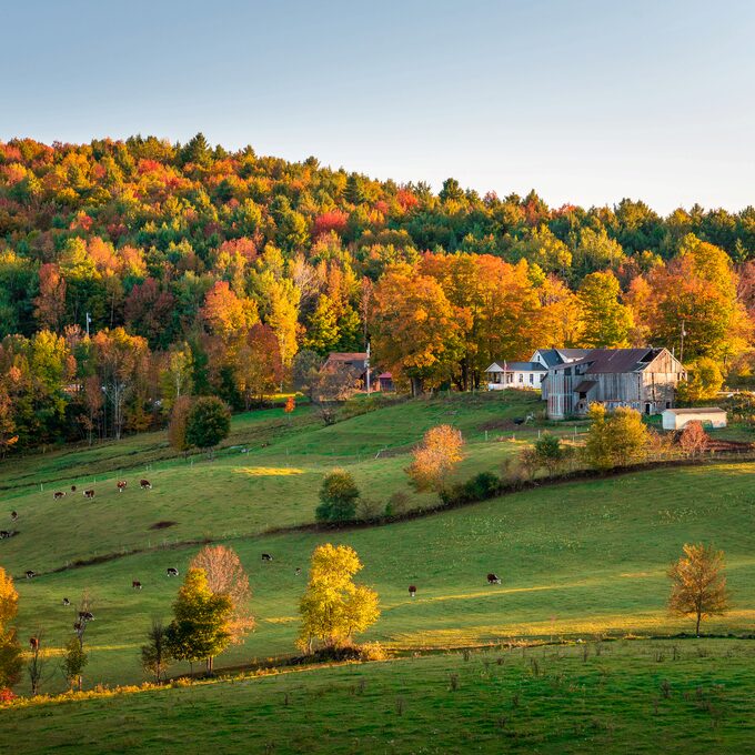 Woodstock_Vermont_Farm