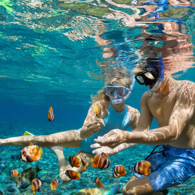 Happy,Family,Vacation.,Young,Couple,In,Snorkeling,Mask,Hold,Hand,