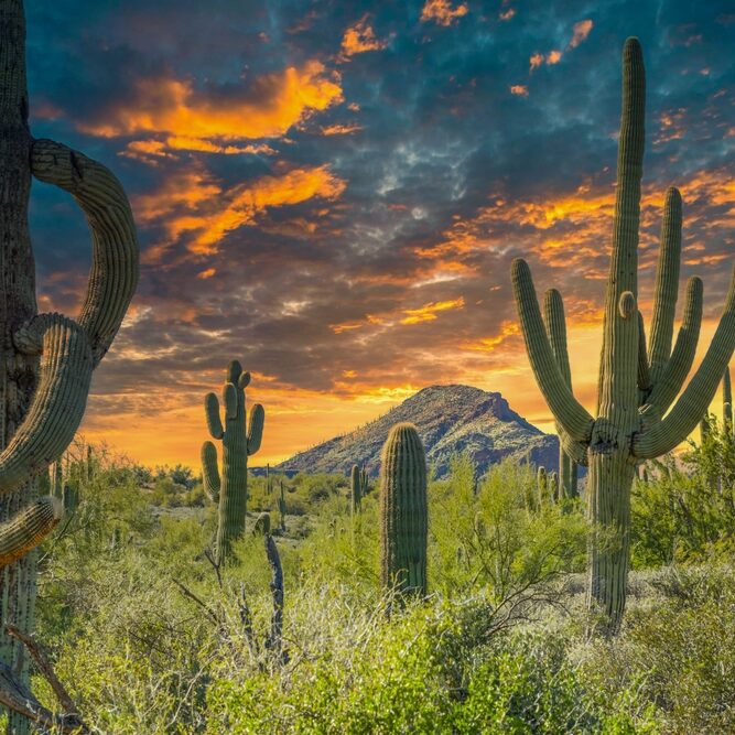 Spur,Cross,Ranch,,Cave,Creek,,Arizona