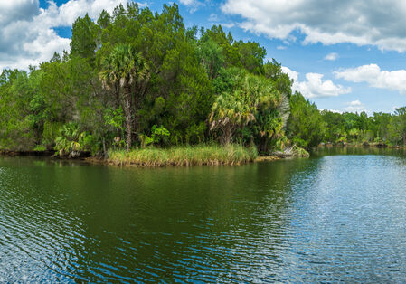 Panorama,Of,Mullet,Hole,Fishing,Area,-,Crystal,River,Preserve