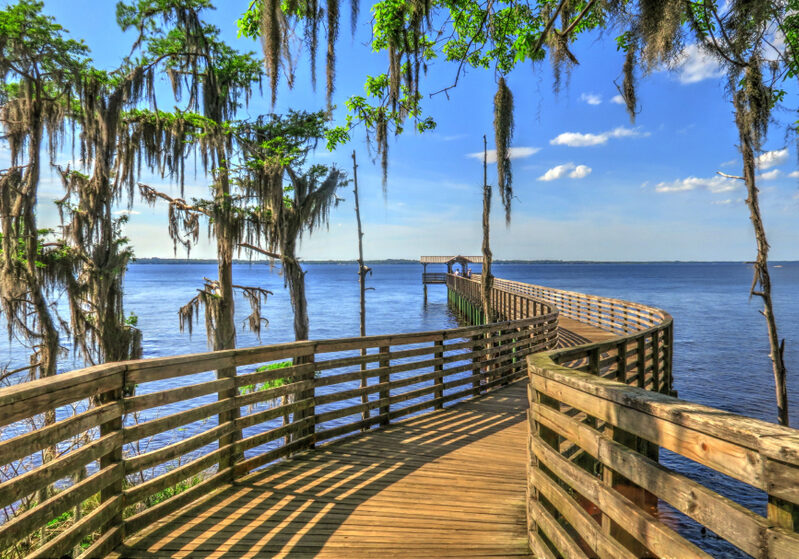 Beautiful,Pier,And,Cypress,Trees,On,A,Bright,Sunny,Day