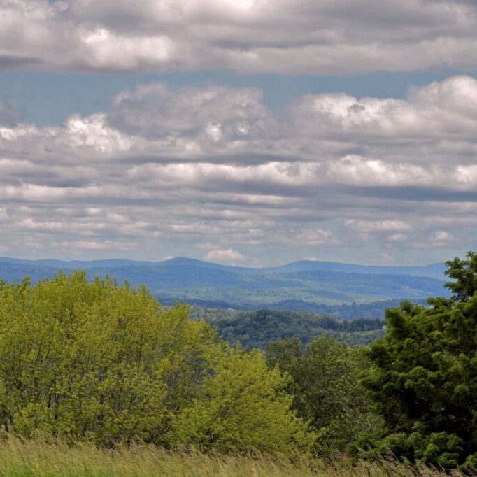A,Beautiful,Landscape,Of,The,White,Mountains,And,Green,Trees A,Beautiful,Landscape,Of,The,White,Mountains,And,Green,Trees