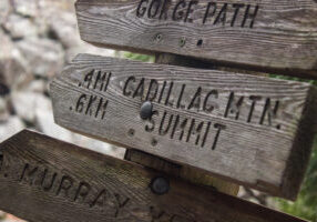 Wooden,Signpost,In,Acadia,National,Park,With,Directions,To,Cadillac
