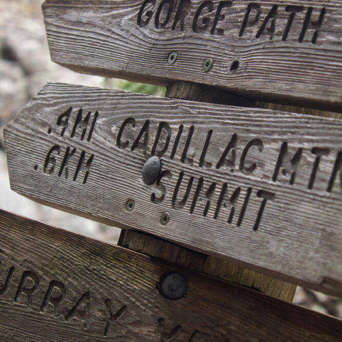 Wooden,Signpost,In,Acadia,National,Park,With,Directions,To,Cadillac
