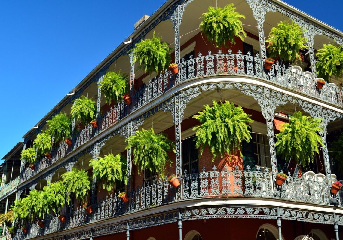 Ferns,Hang,From,The,Wrought,Iron,Railings,Of,The,La