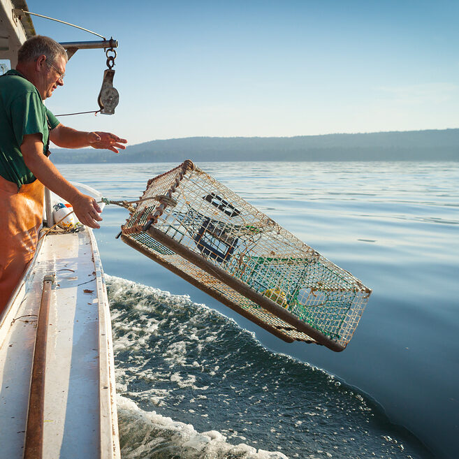 mount-desert-island-me-catching-lobsters